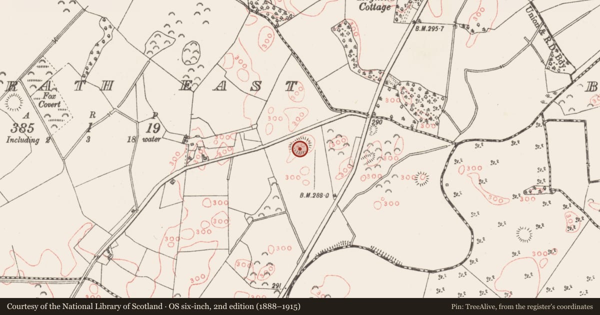 Ordnance Survey six-inch map, 2nd edition (1888–1915) covering the location of Ringfort - rath, Balrath East, County Westmeath, with a pin at the register's coordinates