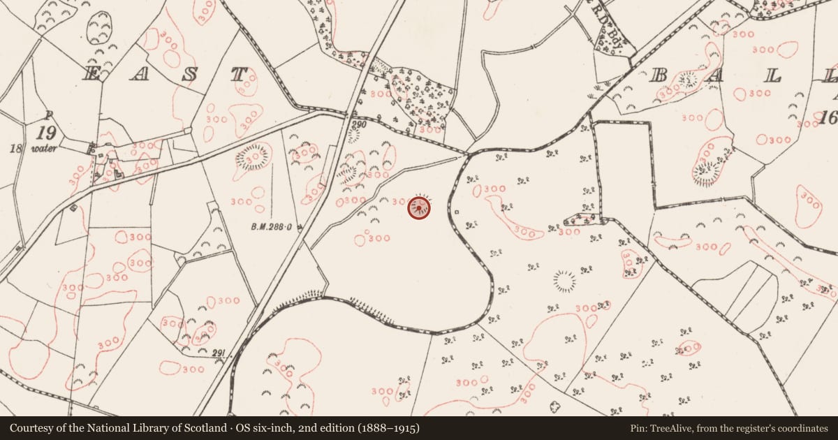 Ordnance Survey six-inch map, 2nd edition (1888–1915) covering the location of Ringfort - rath, Balrath East, County Westmeath, with a pin at the register's coordinates