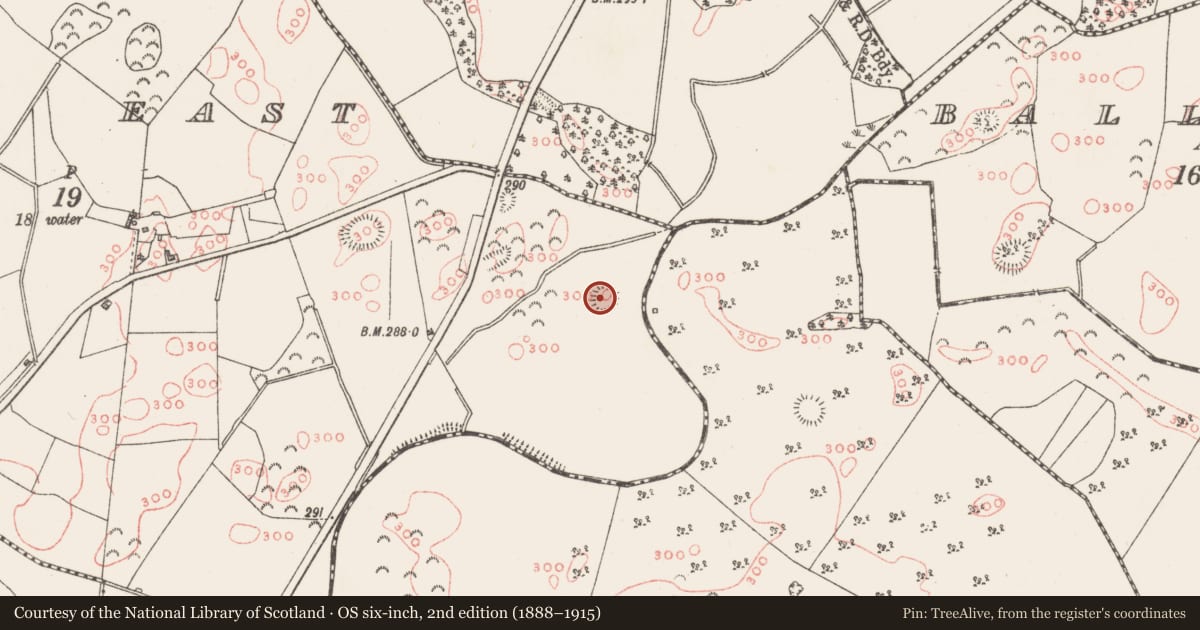 Ordnance Survey six-inch map, 2nd edition (1888–1915) covering the location of Hut site, Balrath East, County Westmeath, with a pin at the register's coordinates