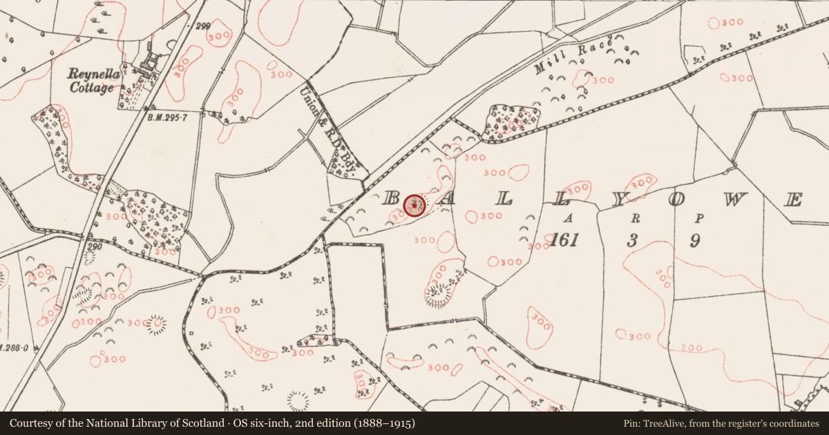 Ordnance Survey six-inch map, 2nd edition (1888–1915) covering the location of Ringfort - rath, Ballyowen, County Westmeath, with a pin at the register's coordinates