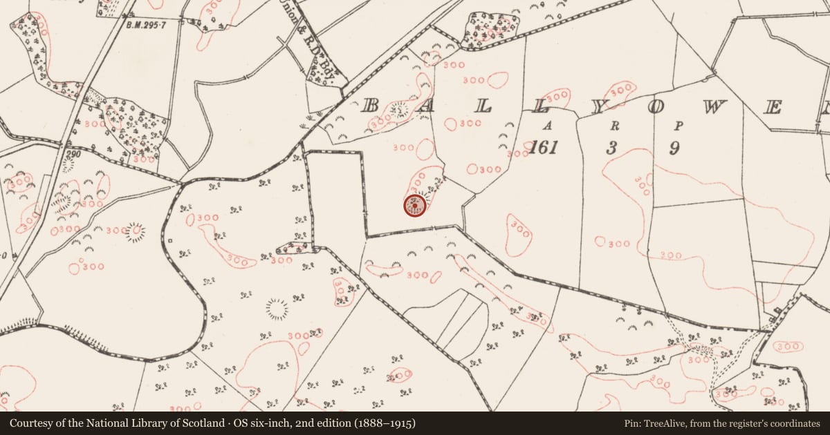 Ordnance Survey six-inch map, 2nd edition (1888–1915) covering the location of Ringfort - rath, Ballyowen, County Westmeath, with a pin at the register's coordinates