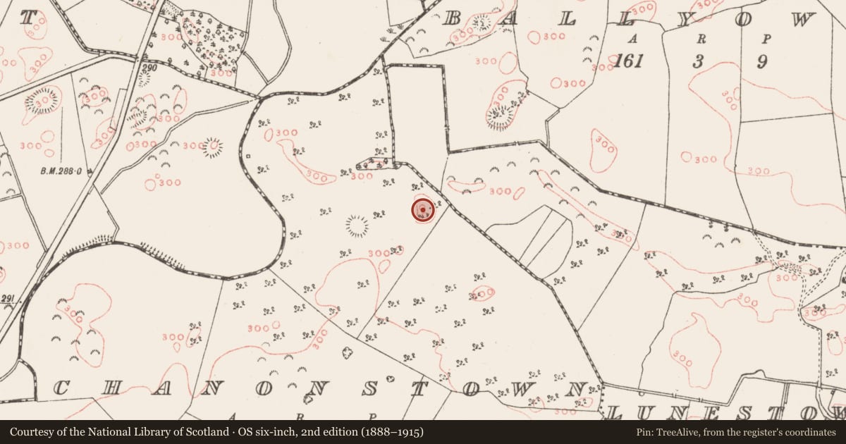 Ordnance Survey six-inch map, 2nd edition (1888–1915) covering the location of Ringfort - rath, Chanonstown, County Westmeath, with a pin at the register's coordinates