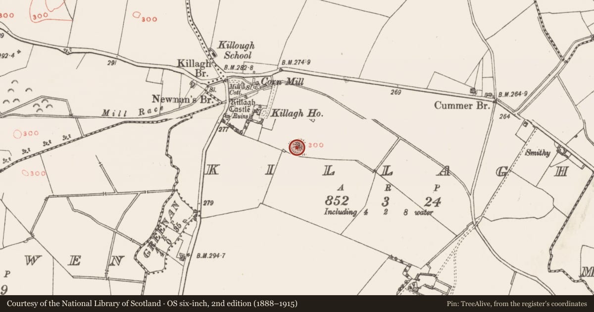Ordnance Survey six-inch map, 2nd edition (1888–1915) covering the location of Castle - motte and bailey, Killagh, County Westmeath, with a pin at the register's coordinates