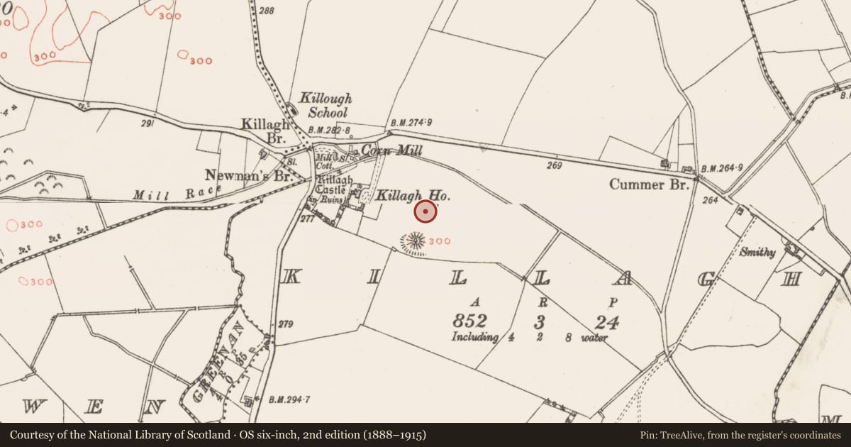 Ordnance Survey six-inch map, 2nd edition (1888–1915) covering the location of Graveyard, Killagh, County Westmeath, with a pin at the register's coordinates