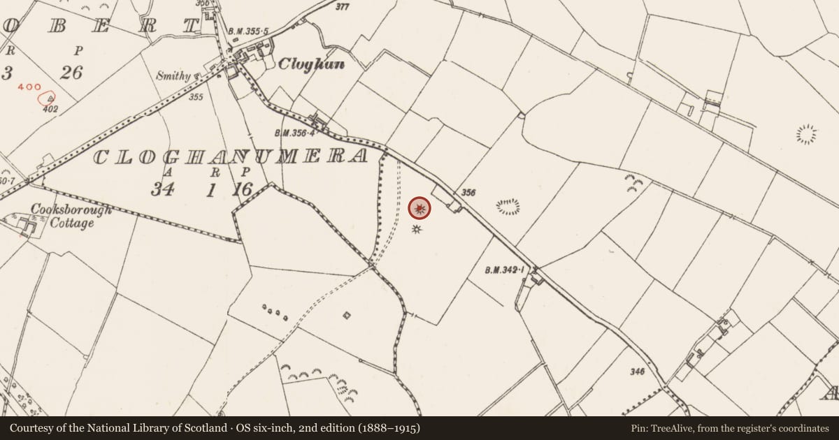 Ordnance Survey six-inch map, 2nd edition (1888–1915) covering the location of Burial mound, Killynan (Cooke), County Westmeath, with a pin at the register's coordinates