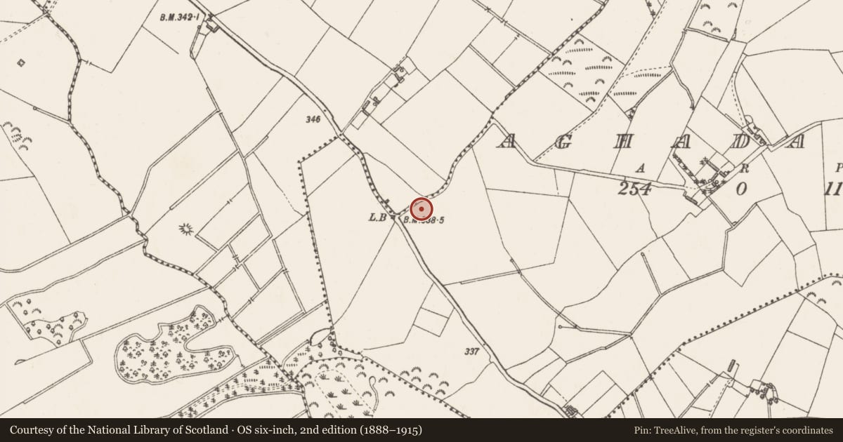 Ordnance Survey six-inch map, 2nd edition (1888–1915) covering the location of Ringfort - rath, Aghadaugh, County Westmeath, with a pin at the register's coordinates