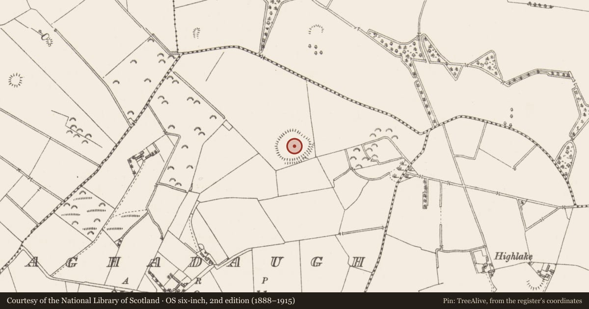 Ordnance Survey six-inch map, 2nd edition (1888–1915) covering the location of Enclosure - large enclosure, Aghadaugh, County Westmeath, with a pin at the register's coordinates