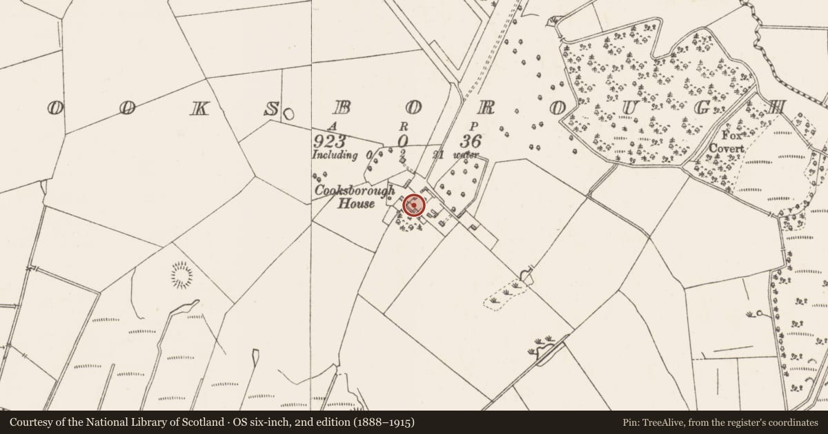 Ordnance Survey six-inch map, 2nd edition (1888–1915) covering the location of Castle - unclassified, Cooksborough, County Westmeath, with a pin at the register's coordinates