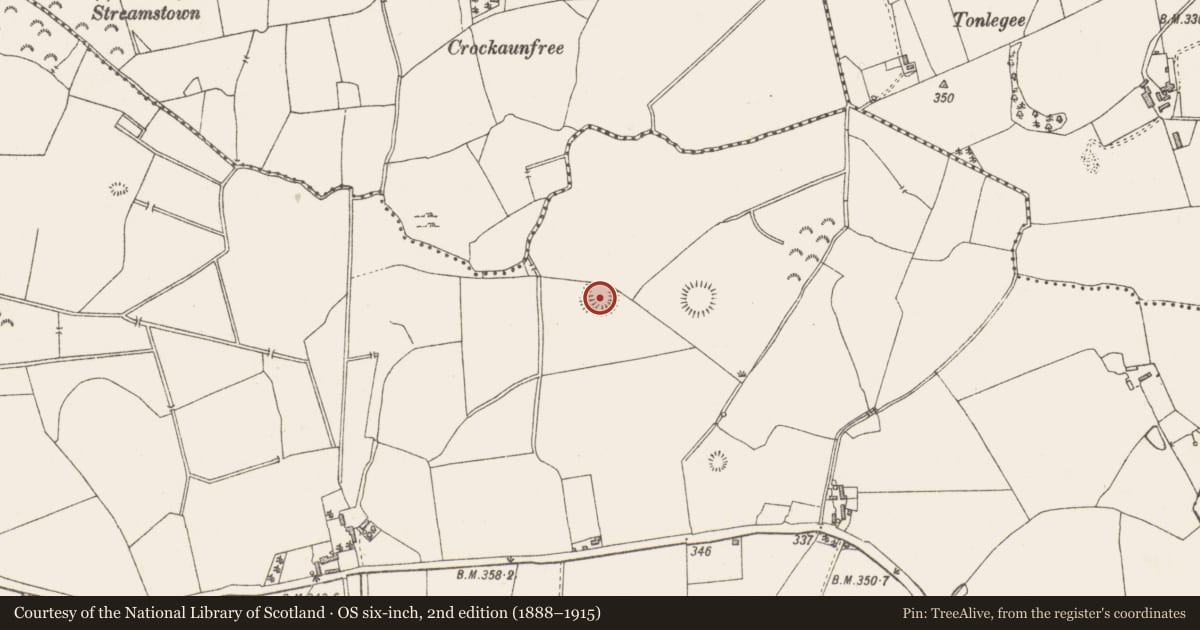 Ordnance Survey six-inch map, 2nd edition (1888–1915) covering the location of Hut site, Clonickilvant, County Westmeath, with a pin at the register's coordinates