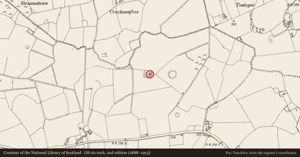 Ordnance Survey six-inch map, 2nd edition (1888–1915) covering the location of Hut site, Clonickilvant, County Westmeath, with a pin at the register's coordinates