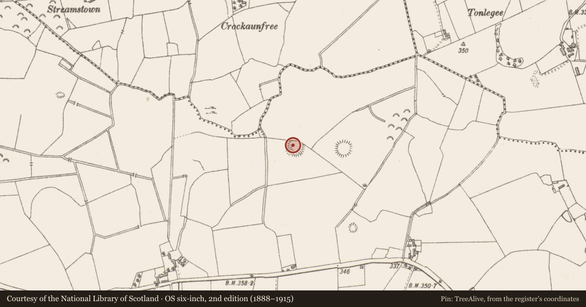 Ordnance Survey six-inch map, 2nd edition (1888–1915) covering the location of Hut site, Clonickilvant, County Westmeath, with a pin at the register's coordinates