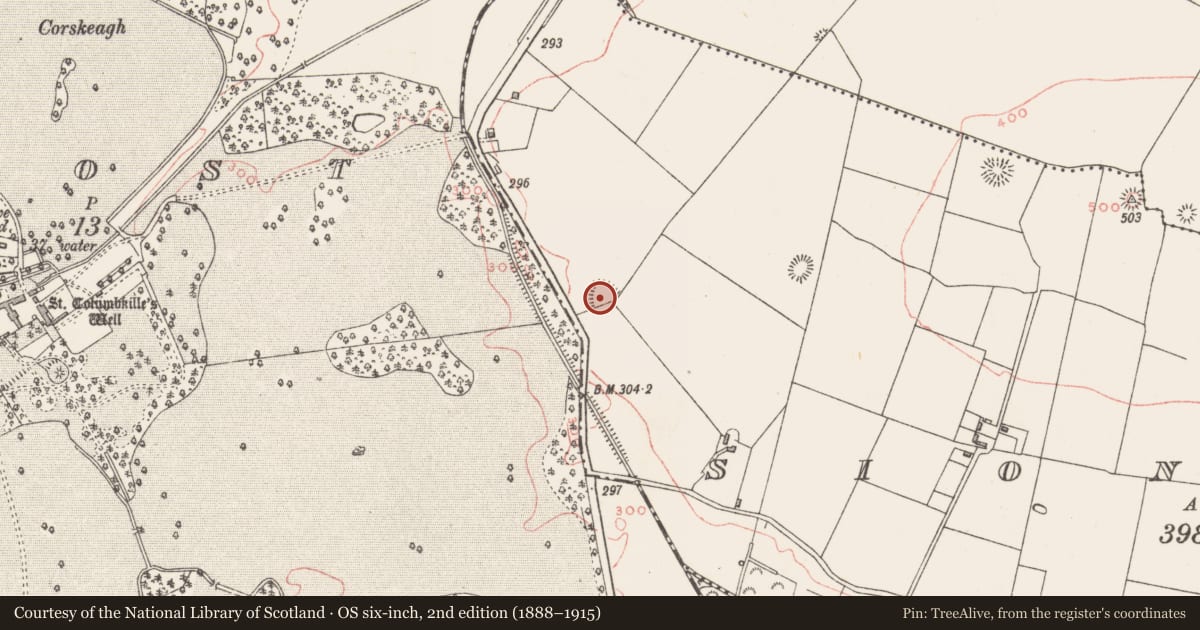 Ordnance Survey six-inch map, 2nd edition (1888–1915) covering the location of Ringfort - rath, Sionhill, County Westmeath, with a pin at the register's coordinates