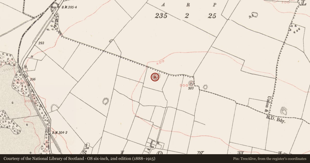 Ordnance Survey six-inch map, 2nd edition (1888–1915) covering the location of Ringfort - rath, Sionhill, County Westmeath, with a pin at the register's coordinates