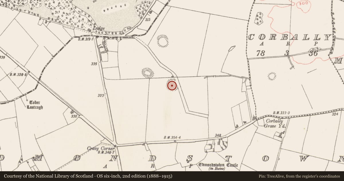 Ordnance Survey six-inch map, 2nd edition (1888–1915) covering the location of Ringfort - rath, Edmondstown, County Westmeath, with a pin at the register's coordinates