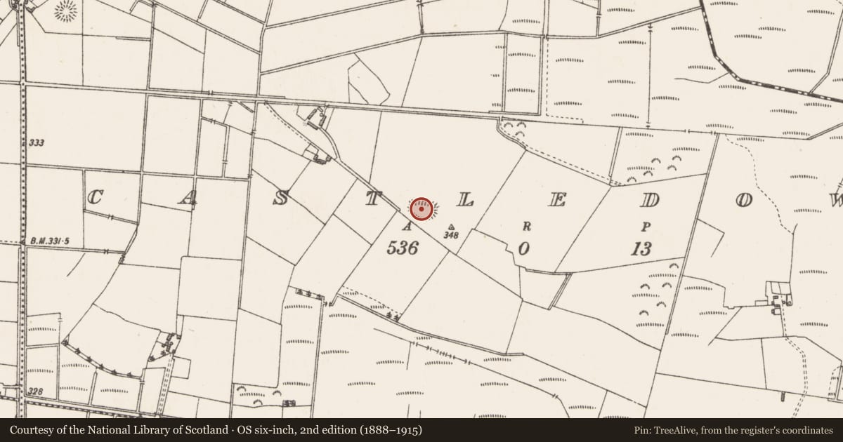 Ordnance Survey six-inch map, 2nd edition (1888–1915) covering the location of Ringfort - rath, Castledown, County Westmeath, with a pin at the register's coordinates