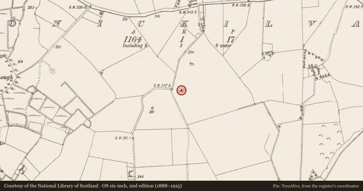 Ordnance Survey six-inch map, 2nd edition (1888–1915) covering the location of Ringfort - rath, Clonickilvant, County Westmeath, with a pin at the register's coordinates