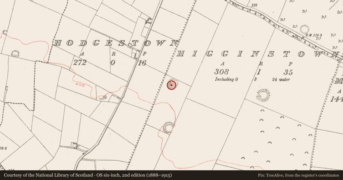 Ordnance Survey six-inch map, 2nd edition (1888–1915) covering the location of Ringfort - rath, Higginstown, County Westmeath, with a pin at the register's coordinates