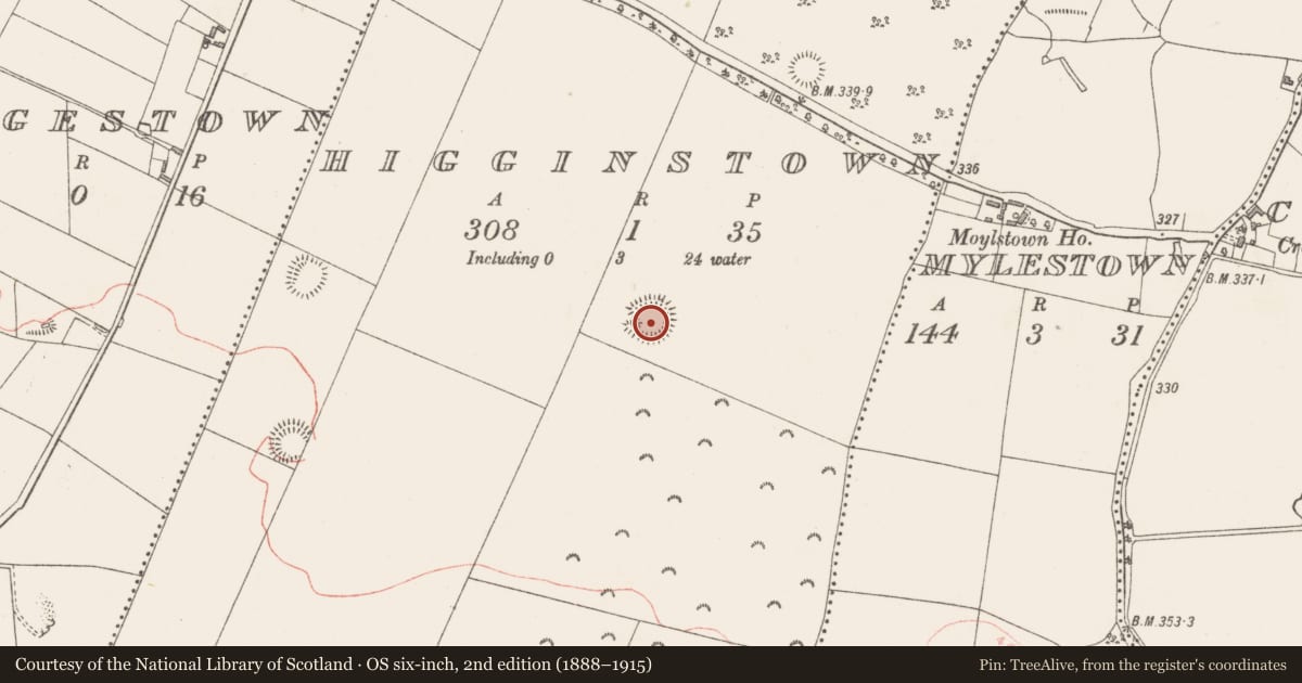 Ordnance Survey six-inch map, 2nd edition (1888–1915) covering the location of Ringfort - rath, Higginstown, County Westmeath, with a pin at the register's coordinates