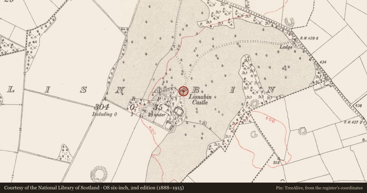 Ordnance Survey six-inch map, 2nd edition (1888–1915) covering the location of Castle - unclassified, Lisnabin, County Westmeath, with a pin at the register's coordinates