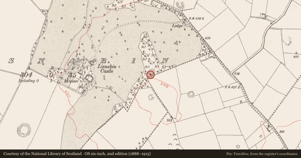 Ordnance Survey six-inch map, 2nd edition (1888–1915) covering the location of Ringfort - rath, Lisnabin, County Westmeath, with a pin at the register's coordinates