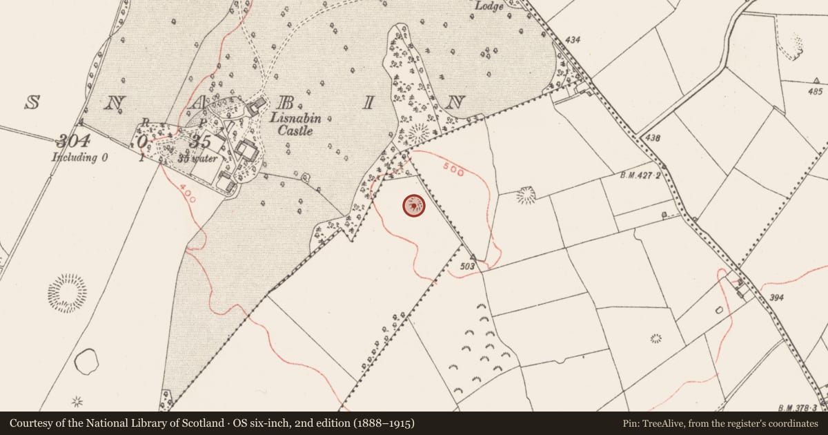 Ordnance Survey six-inch map, 2nd edition (1888–1915) covering the location of Barrow - ring-barrow, Rathnarrow, County Westmeath, with a pin at the register's coordinates