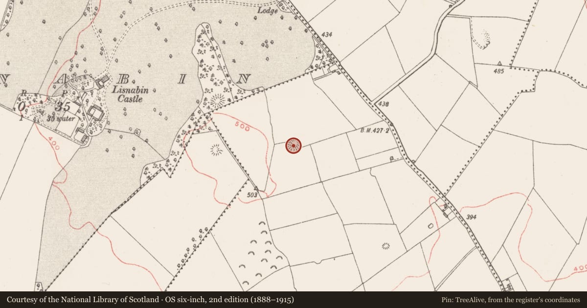 Ordnance Survey six-inch map, 2nd edition (1888–1915) covering the location of Ringfort - rath, Rathwire Upper, County Westmeath, with a pin at the register's coordinates