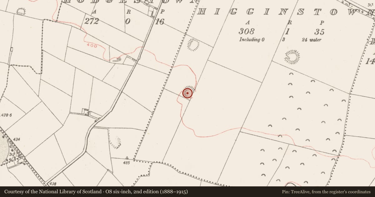 Ordnance Survey six-inch map, 2nd edition (1888–1915) covering the location of Ringfort - rath, Higginstown, County Westmeath, with a pin at the register's coordinates