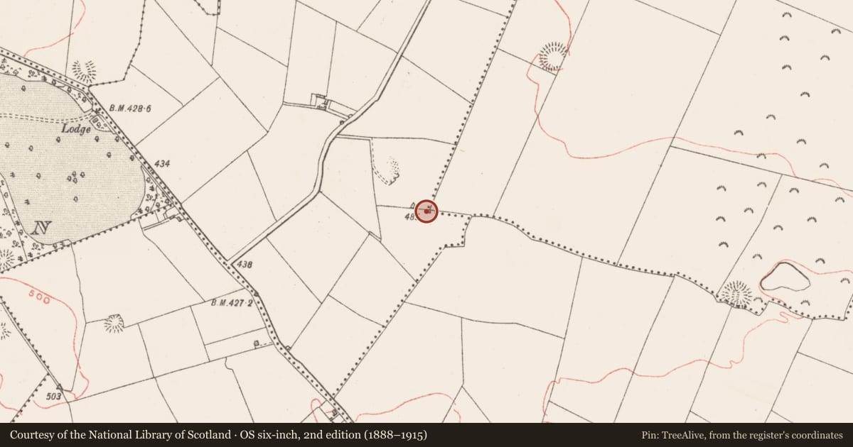 Ordnance Survey six-inch map, 2nd edition (1888–1915) covering the location of Earthwork, Hodgestown, County Westmeath, with a pin at the register's coordinates