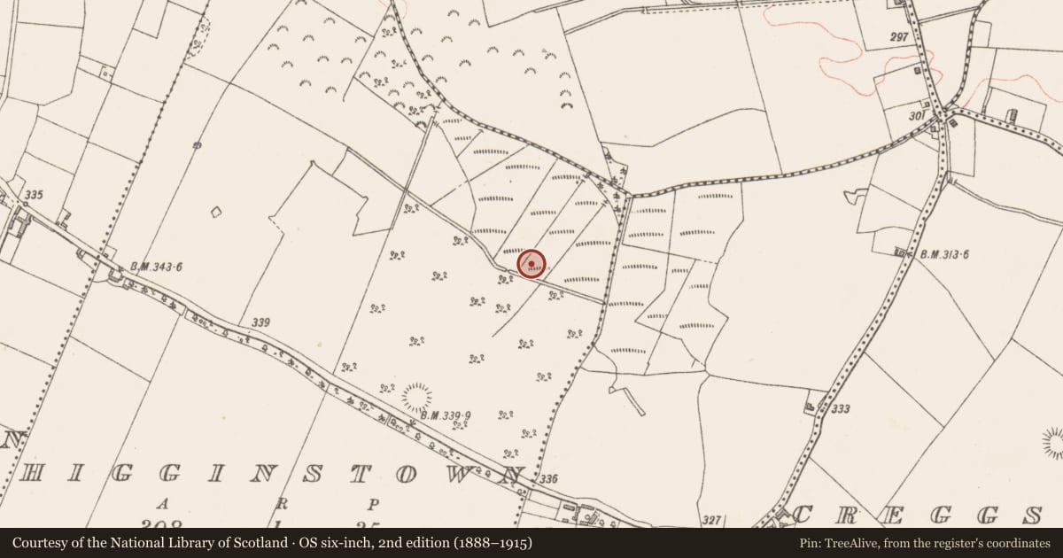 Ordnance Survey six-inch map, 2nd edition (1888–1915) covering the location of Earthwork, Higginstown, County Westmeath, with a pin at the register's coordinates