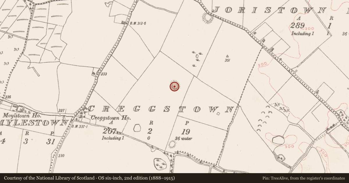 Ordnance Survey six-inch map, 2nd edition (1888–1915) covering the location of Ringfort - rath, Creggstown, County Westmeath, with a pin at the register's coordinates