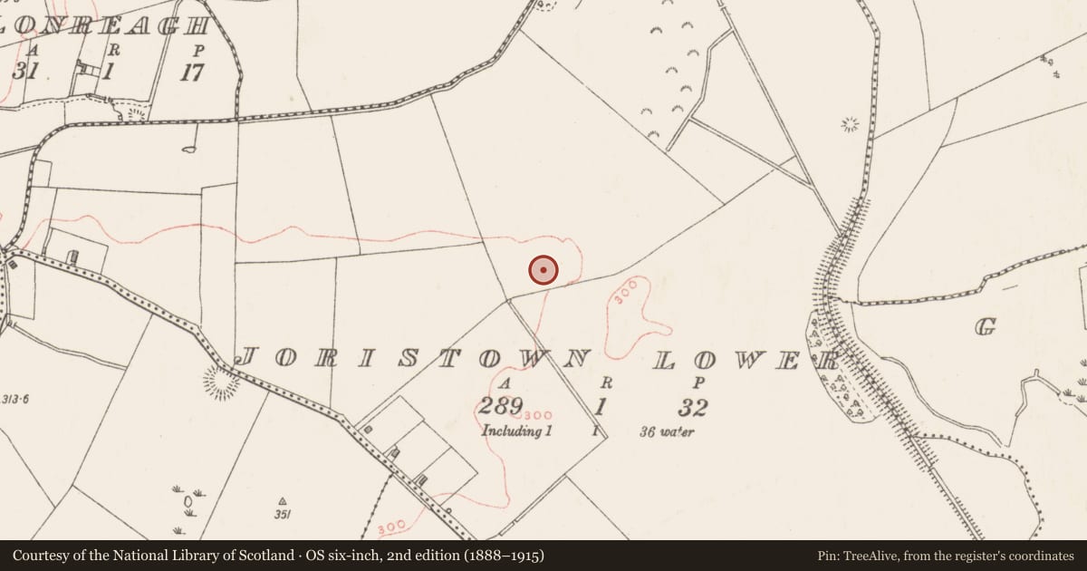 Ordnance Survey six-inch map, 2nd edition (1888–1915) covering the location of Ringfort - rath, Joristown Lower, County Westmeath, with a pin at the register's coordinates