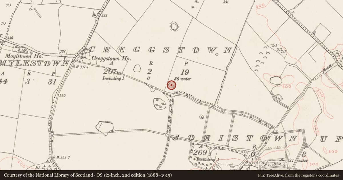 Ordnance Survey six-inch map, 2nd edition (1888–1915) covering the location of Ringfort - rath, Creggstown, County Westmeath, with a pin at the register's coordinates