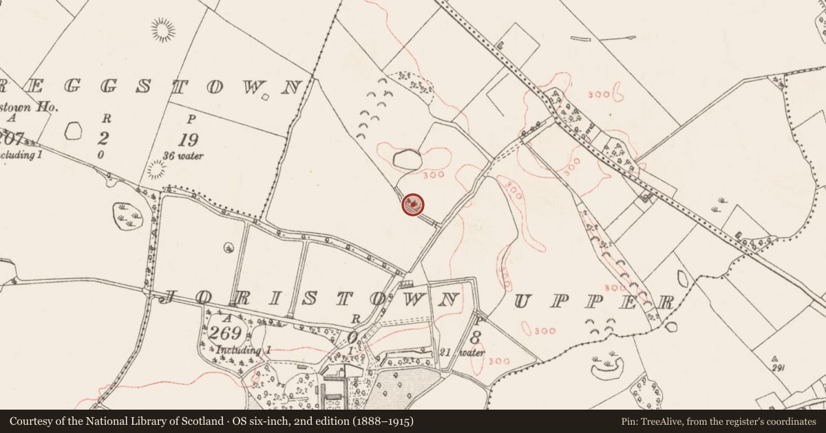 Ordnance Survey six-inch map, 2nd edition (1888–1915) covering the location of Ringfort - rath, Joristown Upper, County Westmeath, with a pin at the register's coordinates