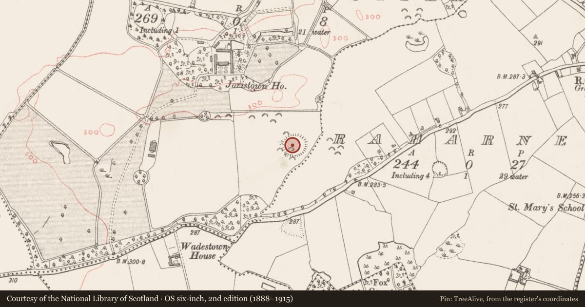 Ordnance Survey six-inch map, 2nd edition (1888–1915) covering the location of Bullaun stone, Joristown Upper, County Westmeath, with a pin at the register's coordinates