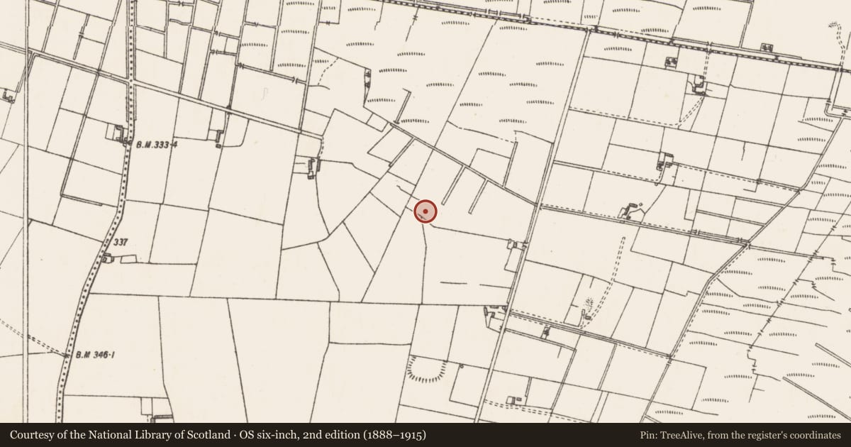 Ordnance Survey six-inch map, 2nd edition (1888–1915) covering the location of Castle - unclassified, Newdown, County Westmeath, with a pin at the register's coordinates