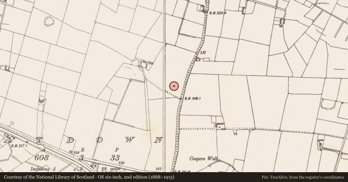 Ordnance Survey six-inch map, 2nd edition (1888–1915) covering the location of Cist, Greatdown, County Westmeath, with a pin at the register's coordinates