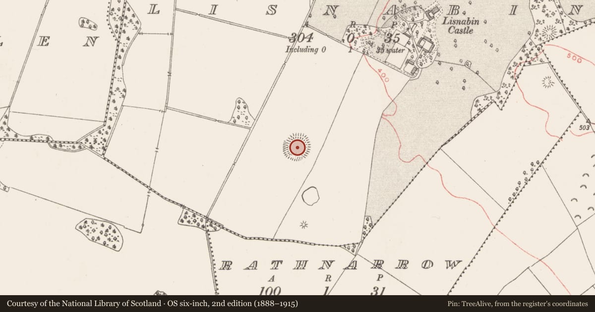 Ordnance Survey six-inch map, 2nd edition (1888–1915) covering the location of Ringfort - rath, Lisnabin, County Westmeath, with a pin at the register's coordinates