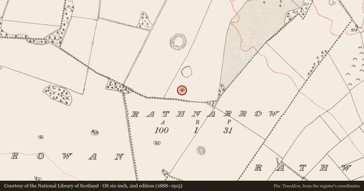 Ordnance Survey six-inch map, 2nd edition (1888–1915) covering the location of Barrow - stepped barrow, Lisnabin, County Westmeath, with a pin at the register's coordinates