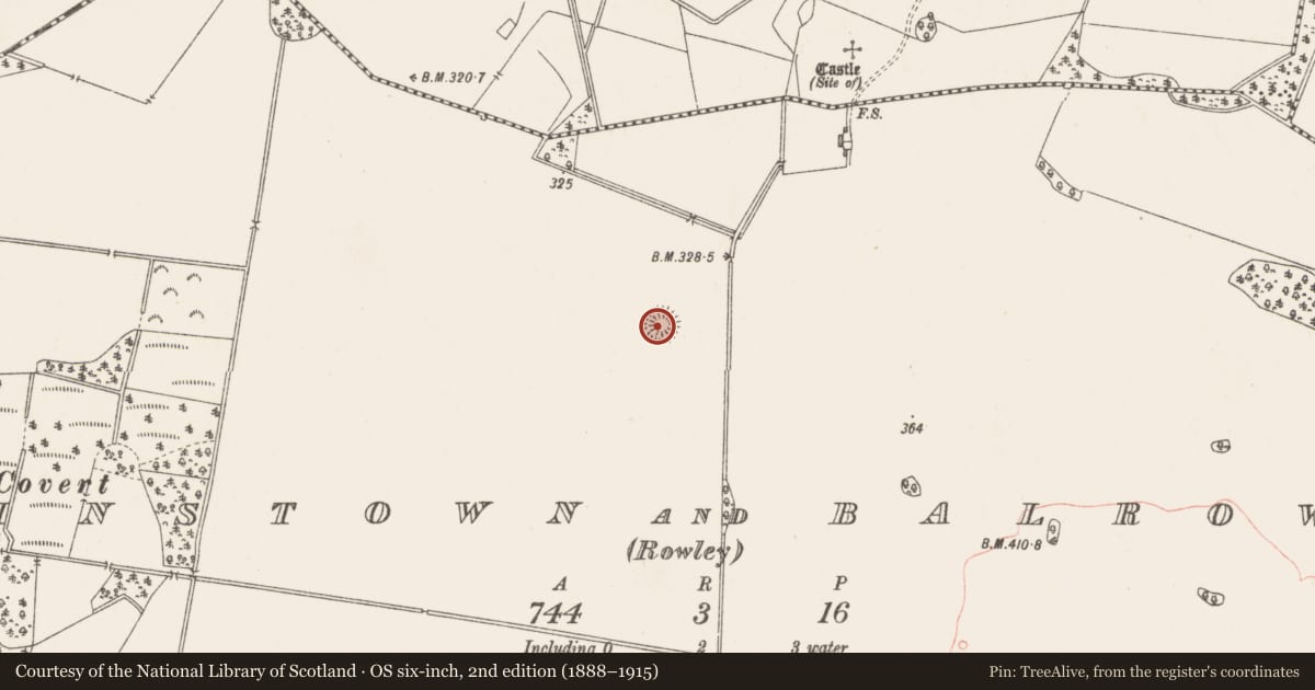 Ordnance Survey six-inch map, 2nd edition (1888–1915) covering the location of Ringfort - rath, Kerinstown And Balrowan (Rowley), County Westmeath, with a pin at the register's coordinates