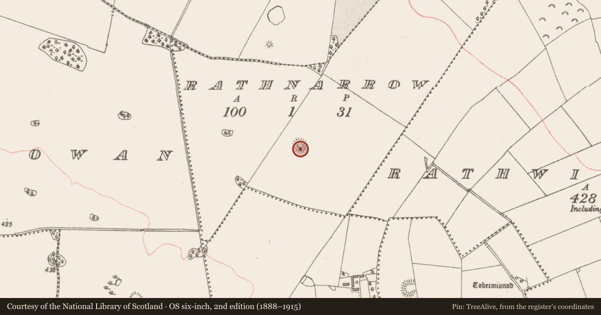 Ordnance Survey six-inch map, 2nd edition (1888–1915) covering the location of Ringfort - rath, Rathnarrow, County Westmeath, with a pin at the register's coordinates
