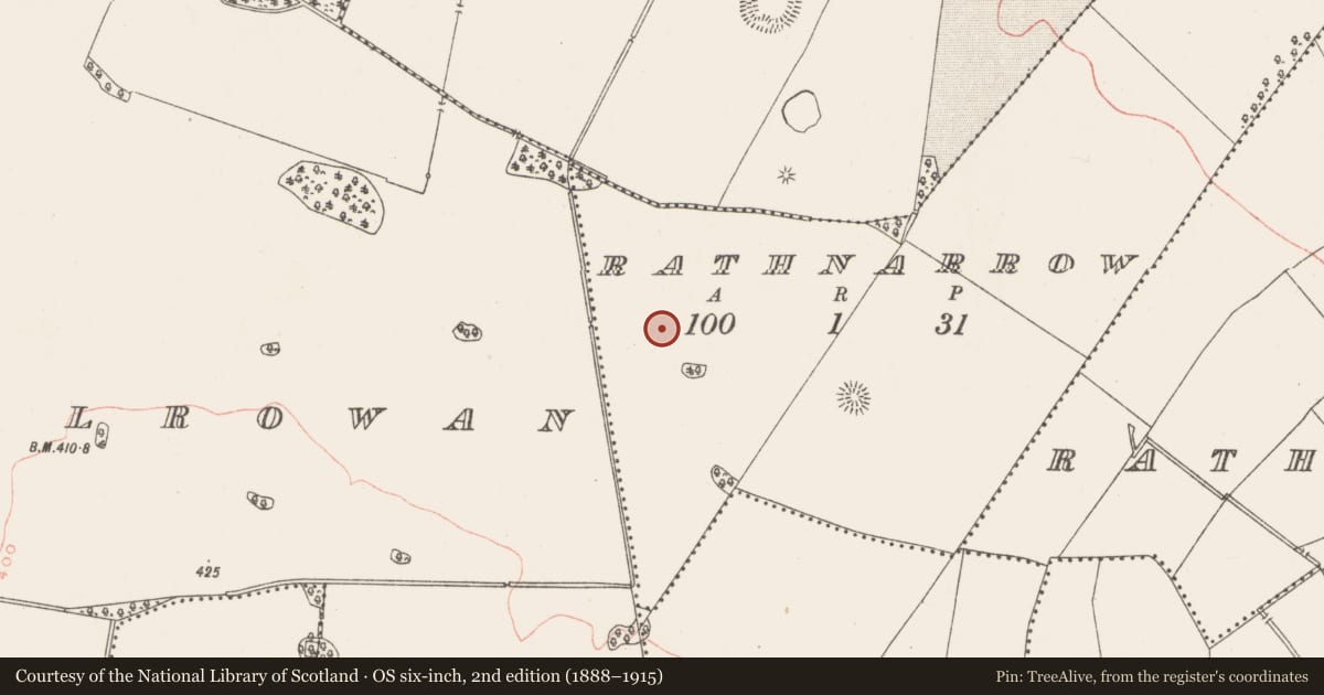 Ordnance Survey six-inch map, 2nd edition (1888–1915) covering the location of Barrow - ring-barrow, Rathnarrow, County Westmeath, with a pin at the register's coordinates