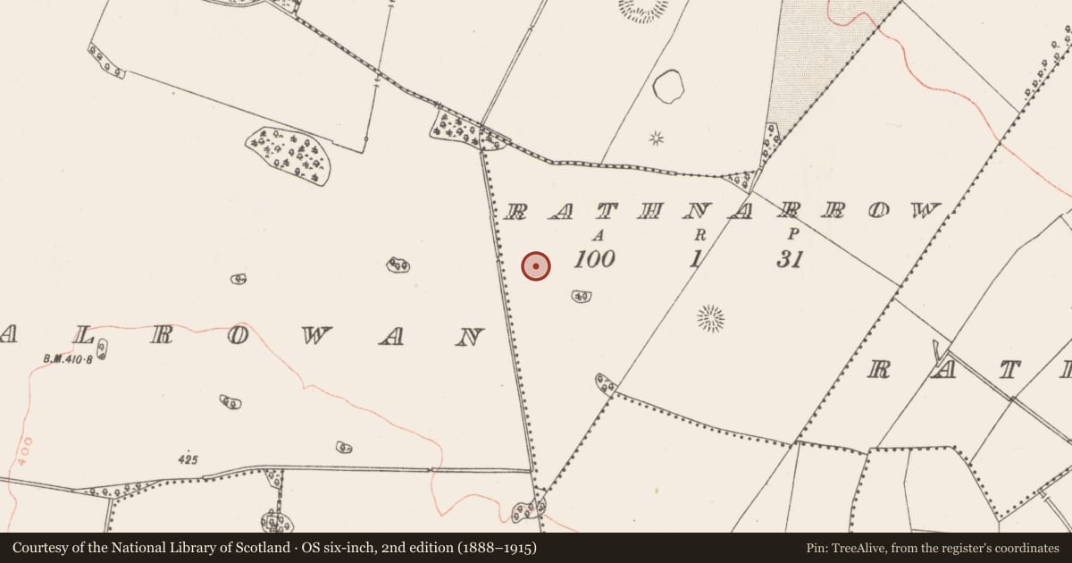 Ordnance Survey six-inch map, 2nd edition (1888–1915) covering the location of Barrow - ring-barrow, Rathnarrow, County Westmeath, with a pin at the register's coordinates