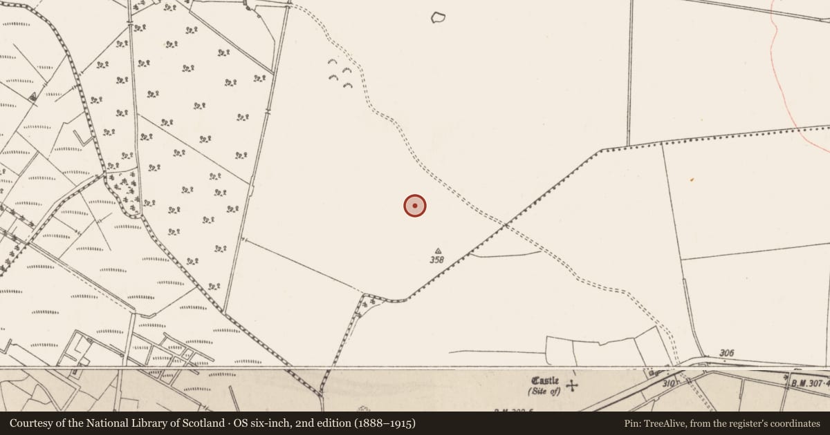 Ordnance Survey six-inch map, 2nd edition (1888–1915) covering the location of Castle - motte and bailey, Kerinstown And Balrowan (Rowley), County Westmeath, with a pin at the register's coordinates