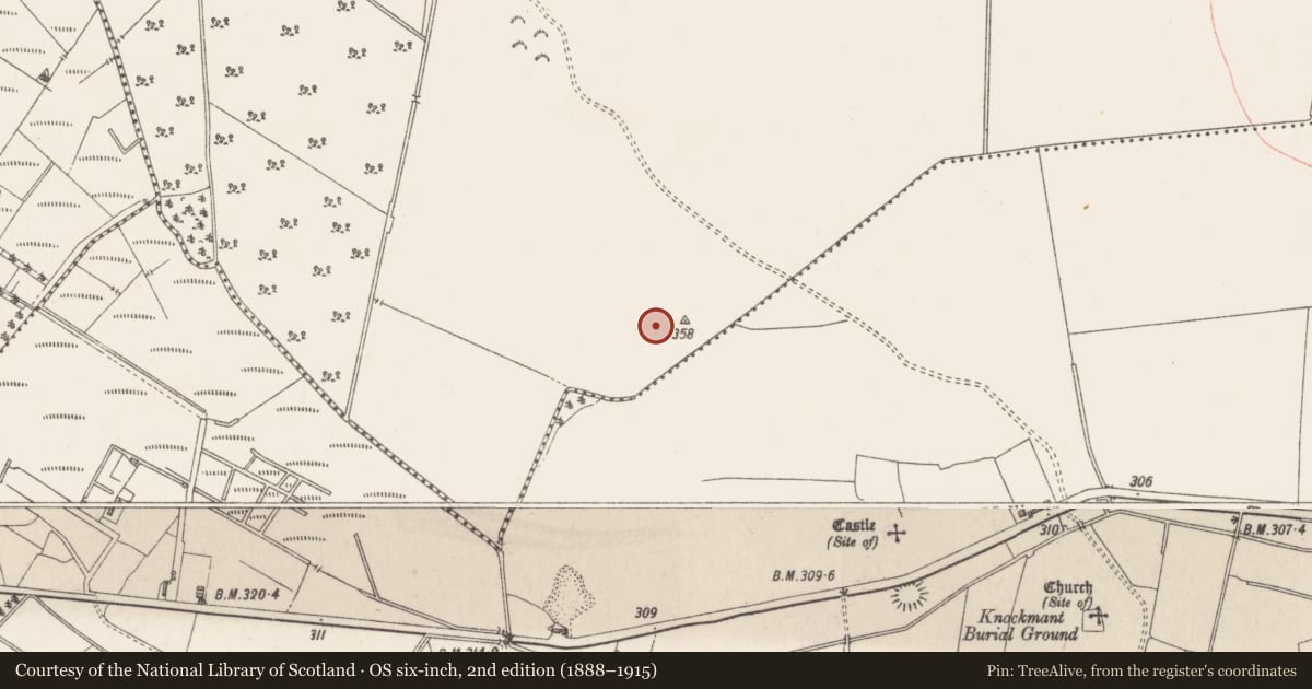 Ordnance Survey six-inch map, 2nd edition (1888–1915) covering the location of Earthwork, Kerinstown And Balrowan (Rowley), County Westmeath, with a pin at the register's coordinates