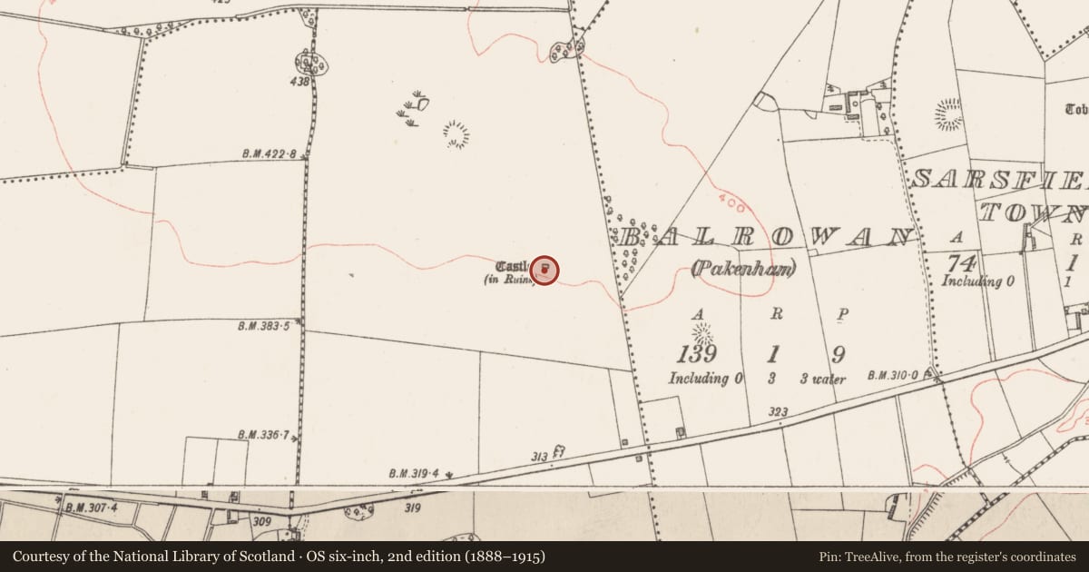 Ordnance Survey six-inch map, 2nd edition (1888–1915) covering the location of Castle - tower house, Kerinstown And Balrowan (Rowley), County Westmeath, with a pin at the register's coordinates