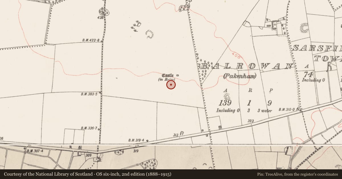 Ordnance Survey six-inch map, 2nd edition (1888–1915) covering the location of Bawn, Kerinstown And Balrowan (Rowley), County Westmeath, with a pin at the register's coordinates