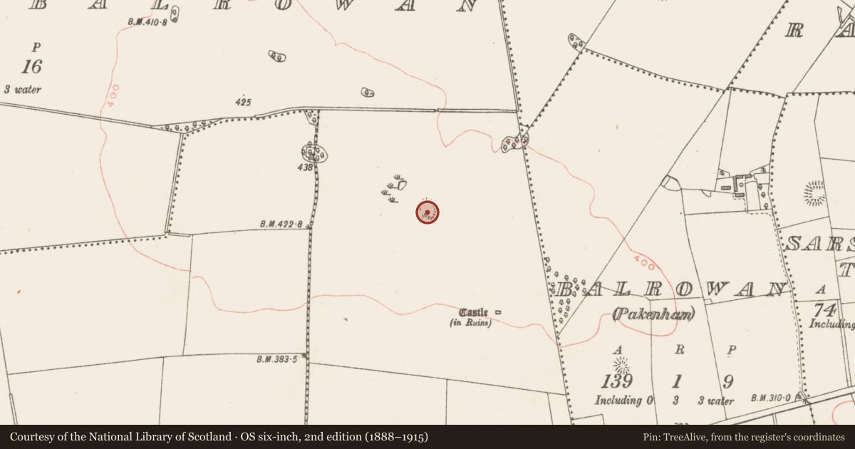 Ordnance Survey six-inch map, 2nd edition (1888–1915) covering the location of Ringfort - rath, Kerinstown And Balrowan (Rowley), County Westmeath, with a pin at the register's coordinates
