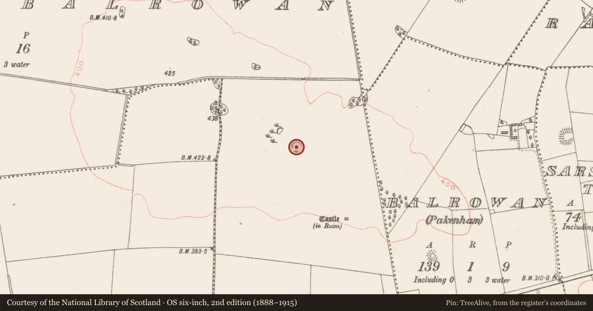 Ordnance Survey six-inch map, 2nd edition (1888–1915) covering the location of Hut site, Kerinstown And Balrowan (Rowley), County Westmeath, with a pin at the register's coordinates