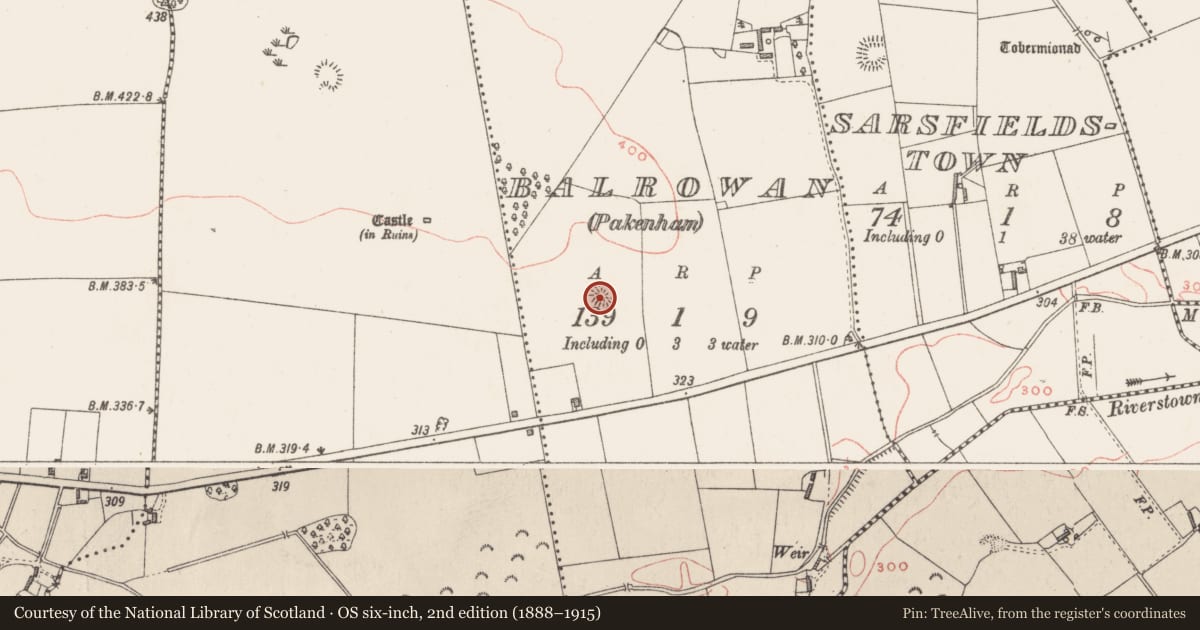 Ordnance Survey six-inch map, 2nd edition (1888–1915) covering the location of Ringfort - rath, Balrowan (Packenham), County Westmeath, with a pin at the register's coordinates