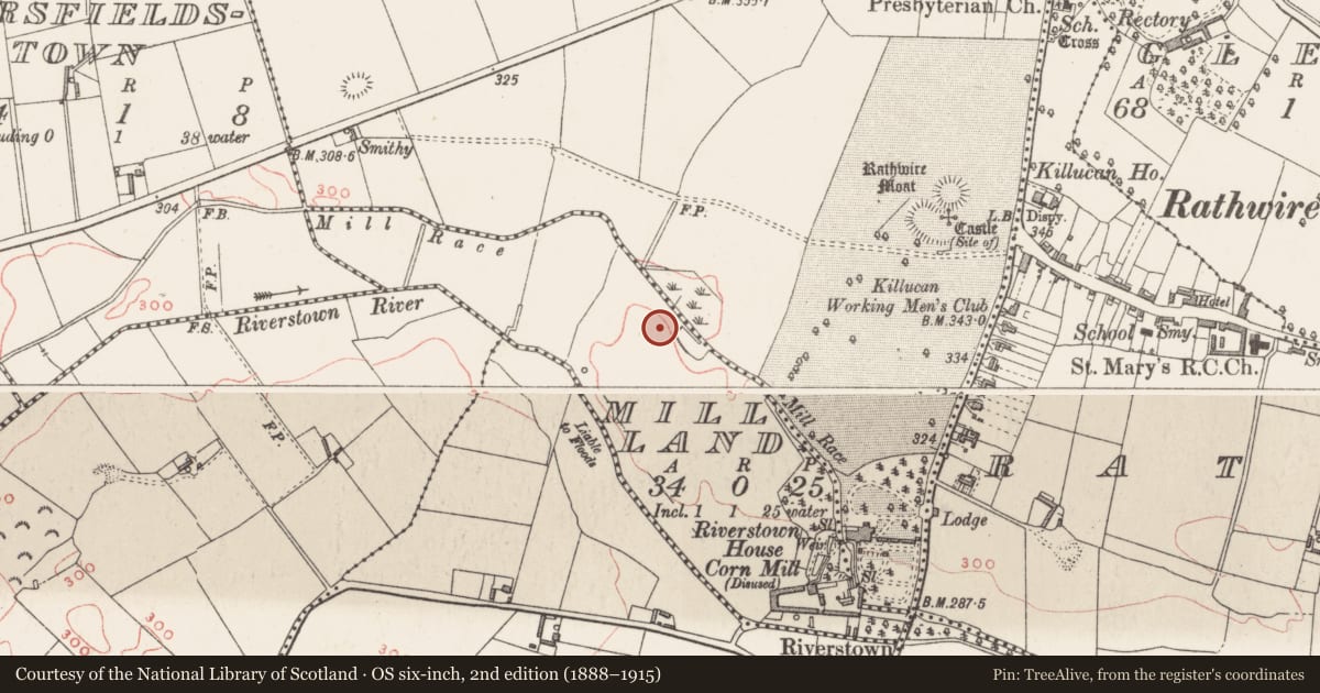 Ordnance Survey six-inch map, 2nd edition (1888–1915) covering the location of Cist, Mill Land, County Westmeath, with a pin at the register's coordinates